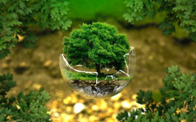 Rivoluzione verde e Transizione ecologica