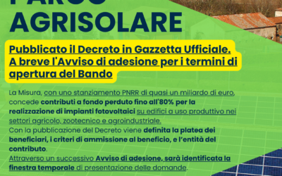 PARCO AGRISOLARE: pubblicato il Decreto in Gazzetta Ufficiale