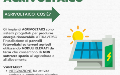 AGRIVOLTAICO: anticipazioni Bando in prossima uscita